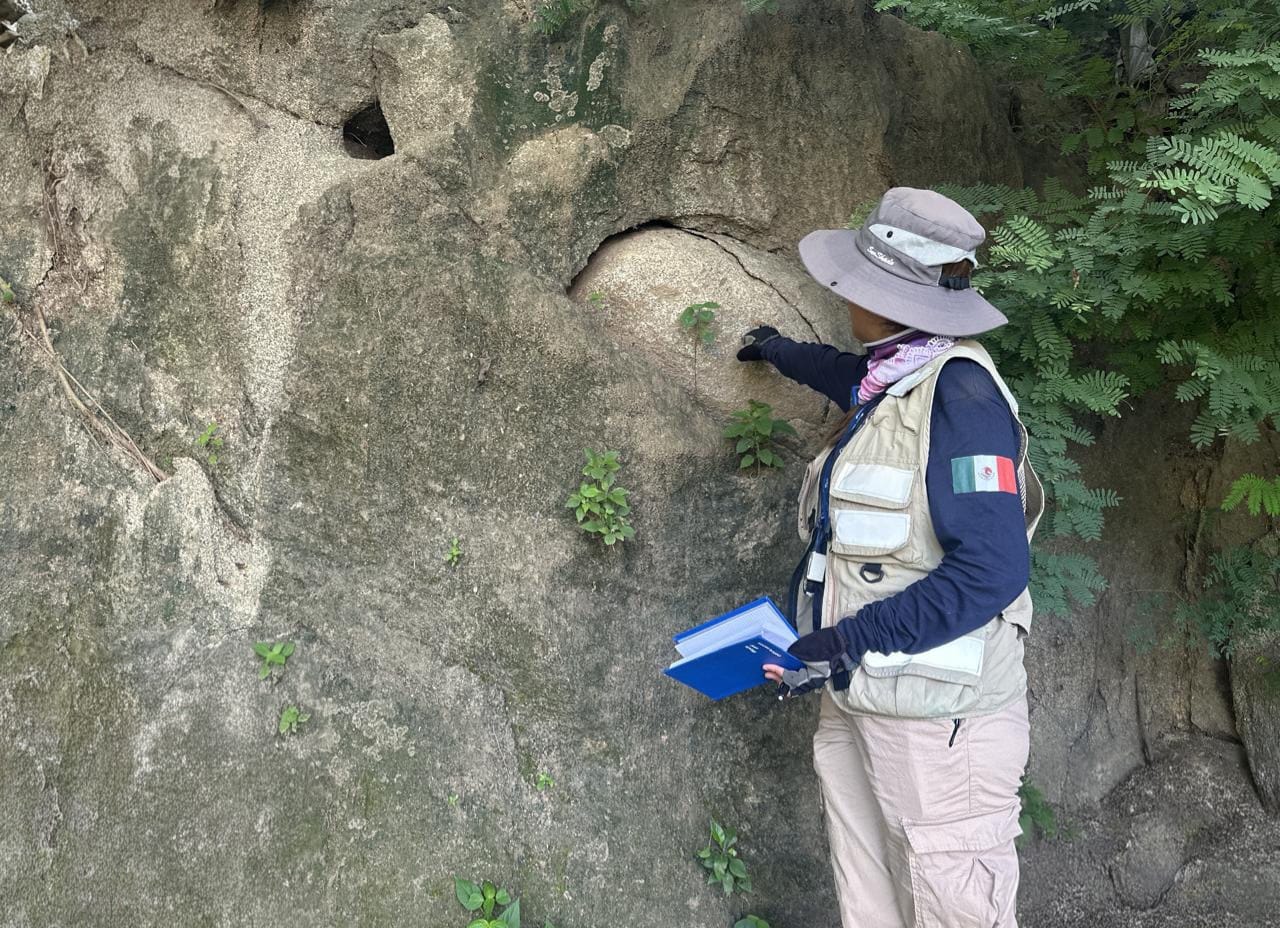 WhatsApp Image 2026-01-10 at 12.01.00 (2)