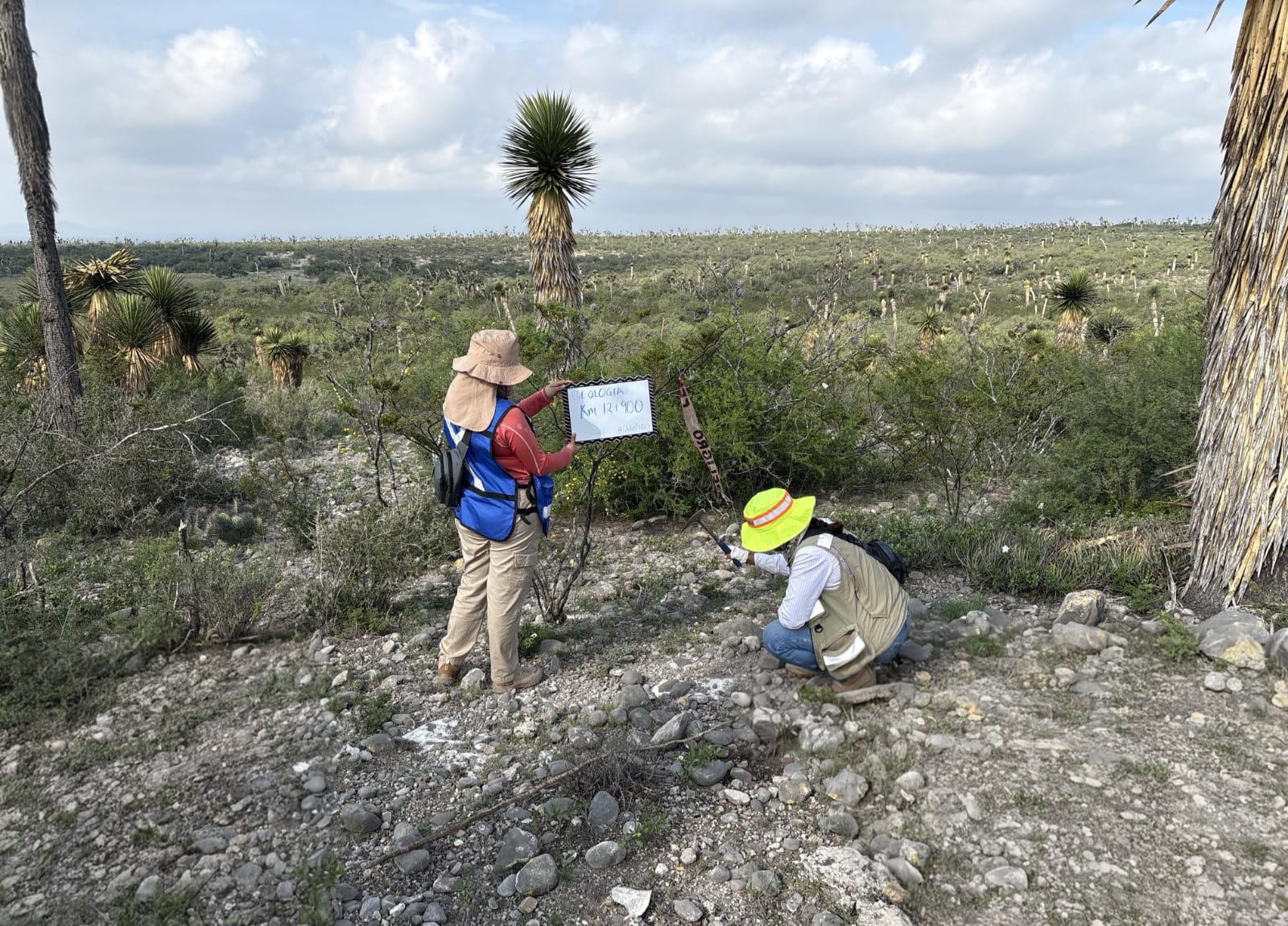 WhatsApp Image 2026-01-10 at 12.01.01 (1)