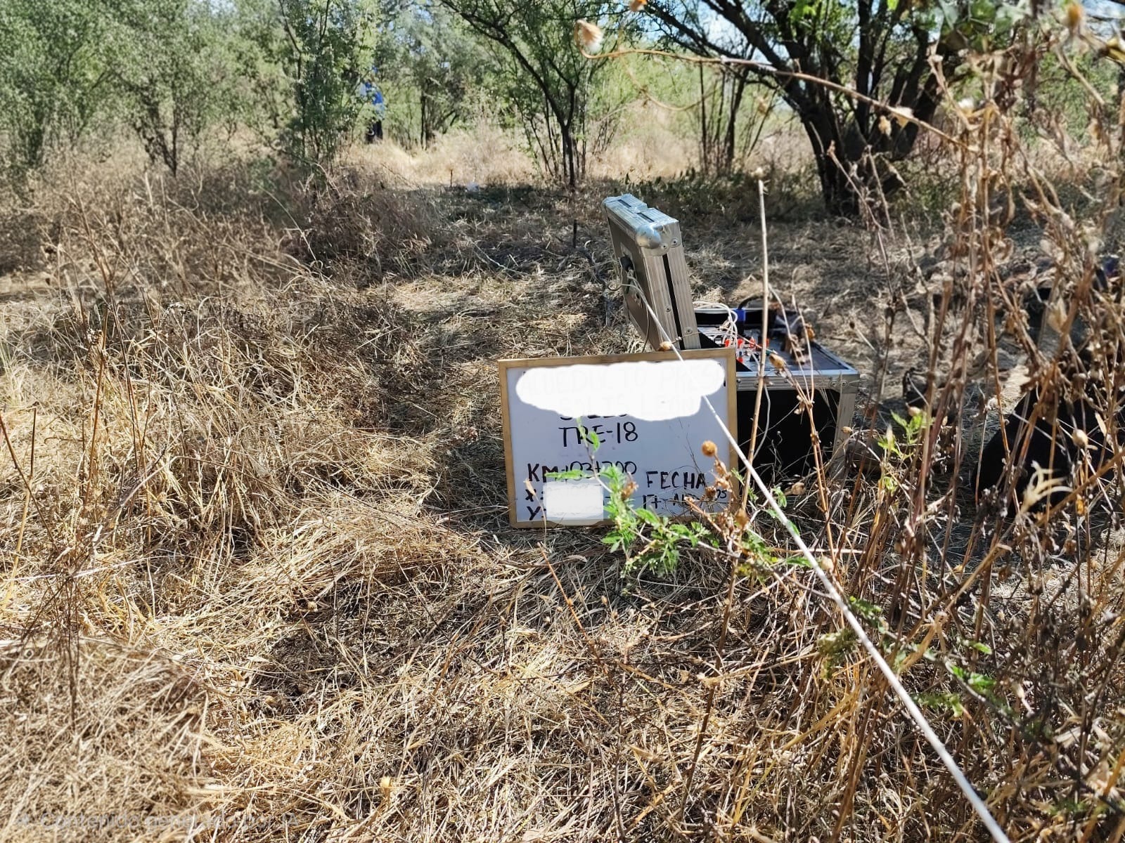 WhatsApp Image 2026-01-12 at 09.09.23 ok