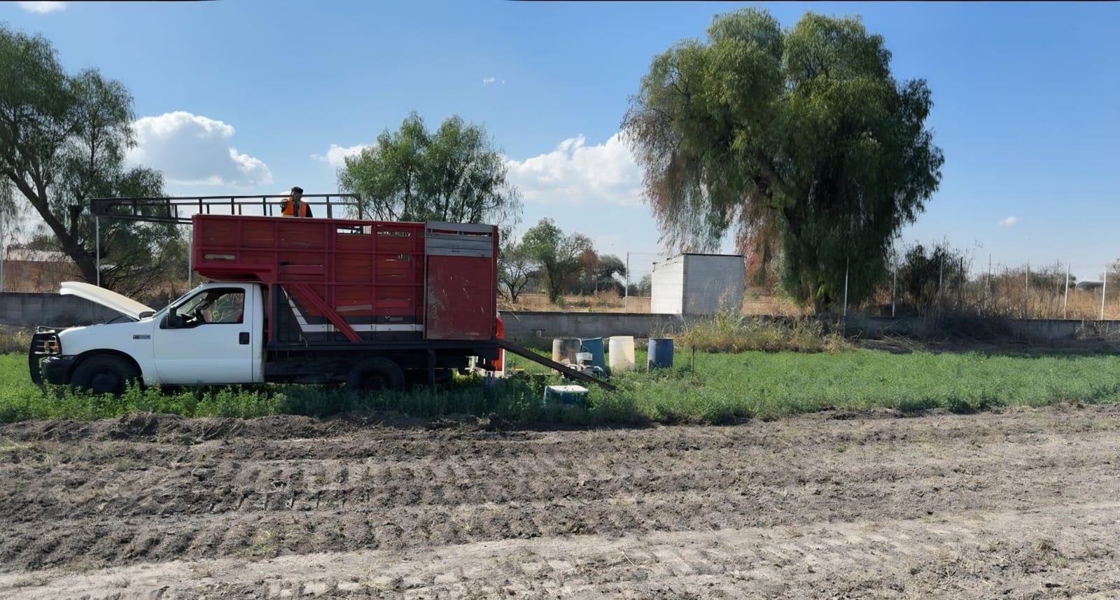 WhatsApp Image 2026-01-15 at 12.26.24 (2)