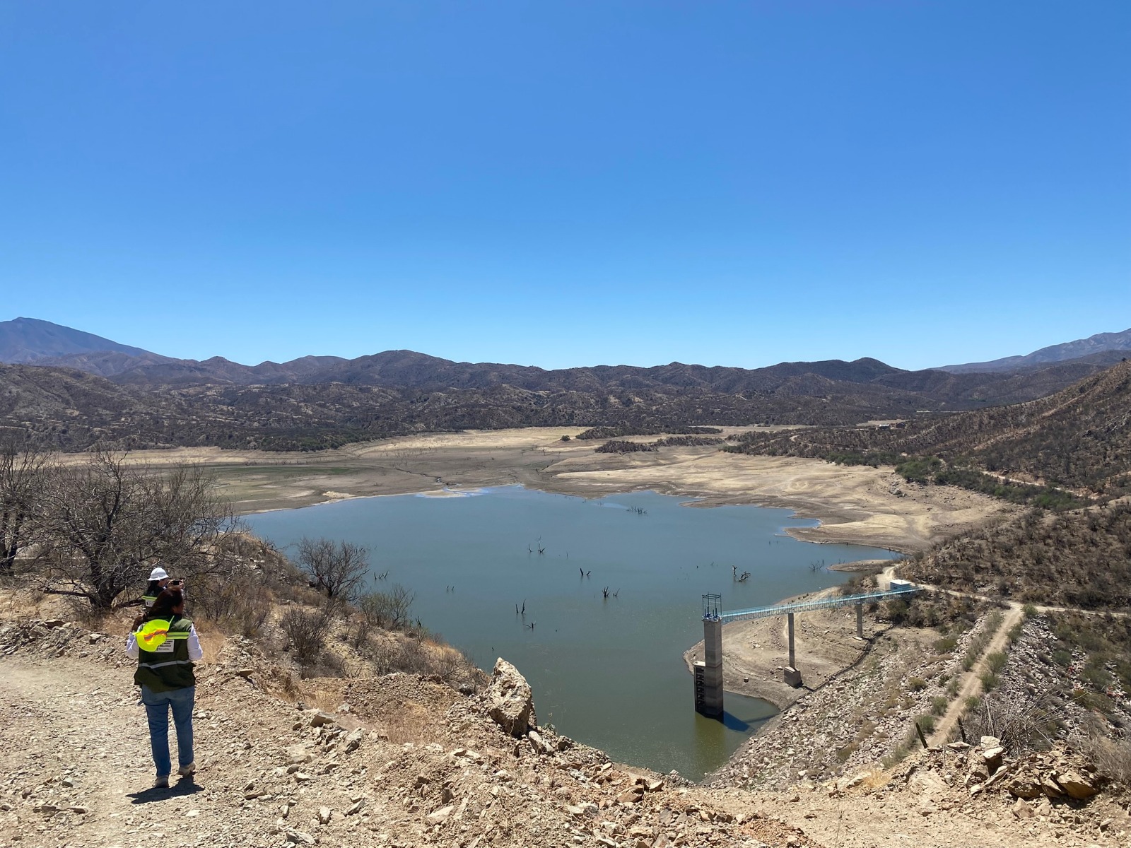 WhatsApp Image 2026-01-15 at 13.00.52