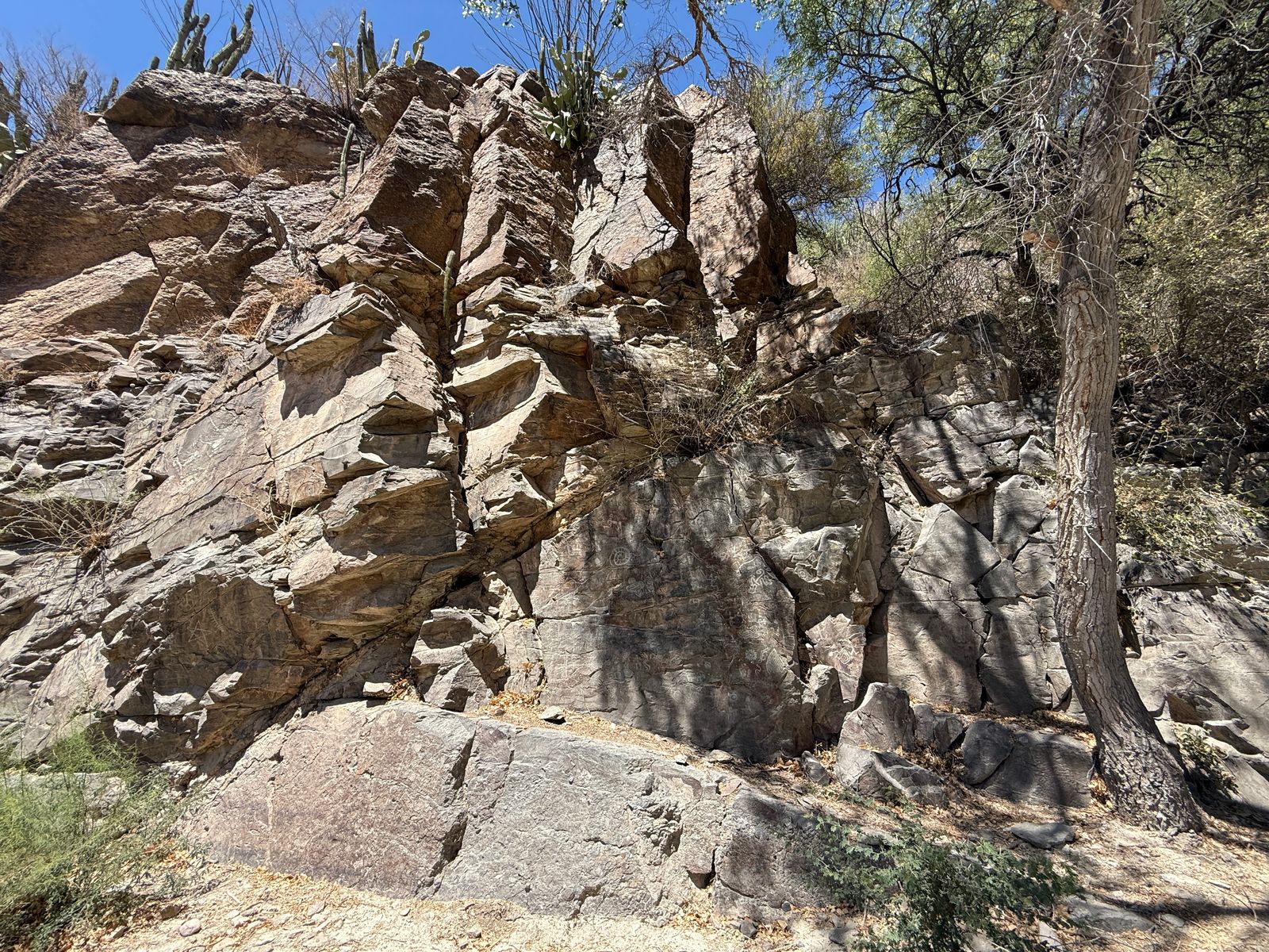 WhatsApp Image 2026-01-15 at 13.00.53 (1)