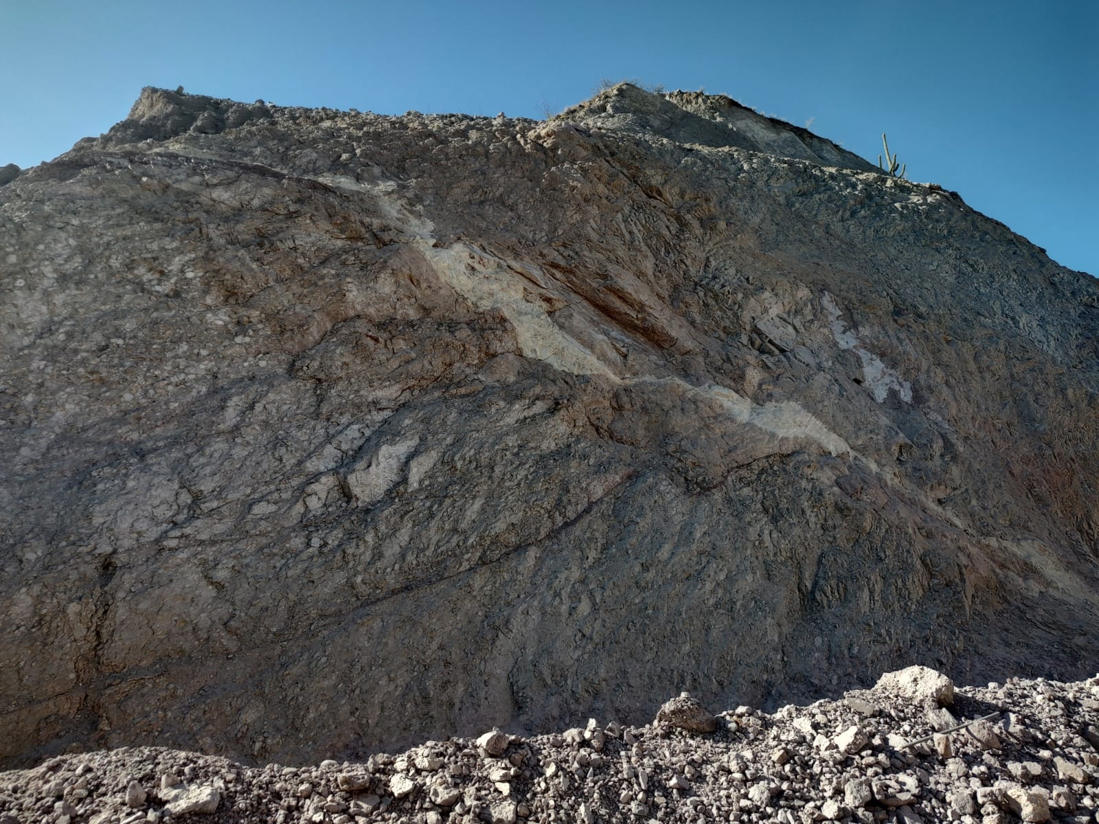 WhatsApp Image 2026-01-15 at 13.00.53 (2)