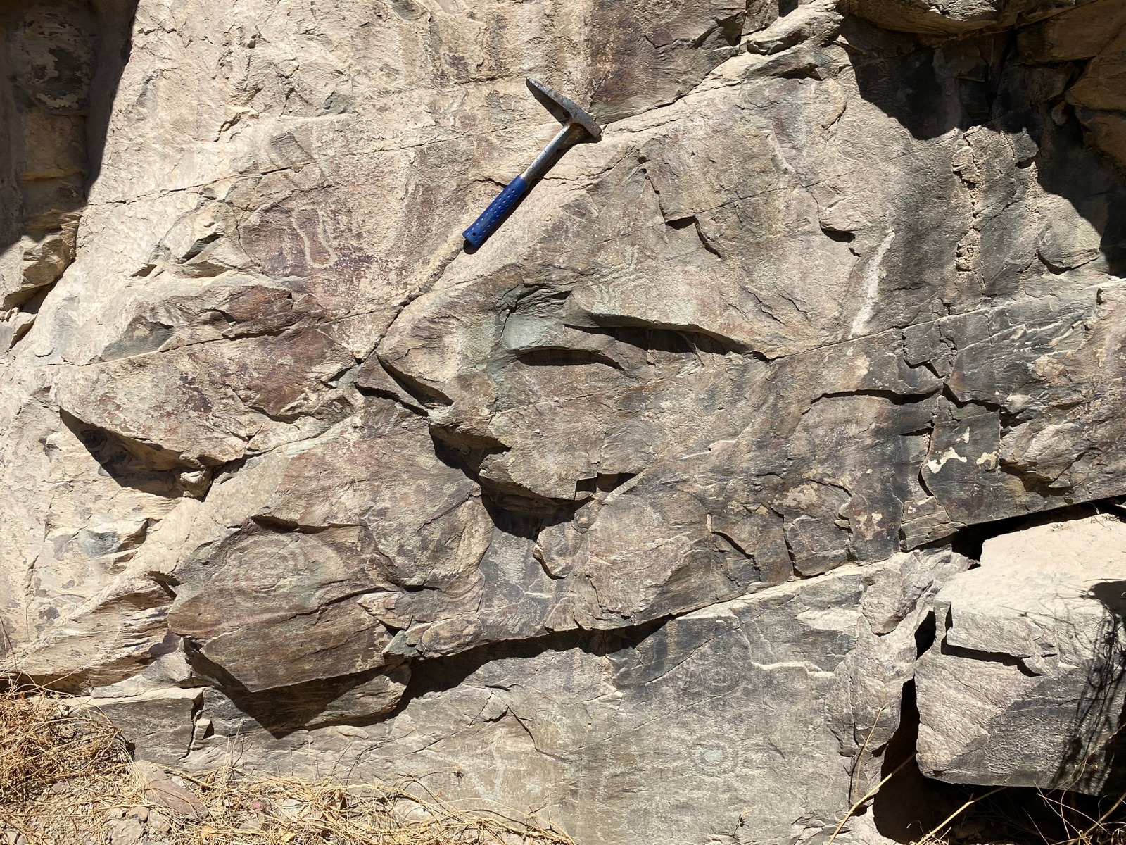 WhatsApp Image 2026-01-15 at 13.00.53