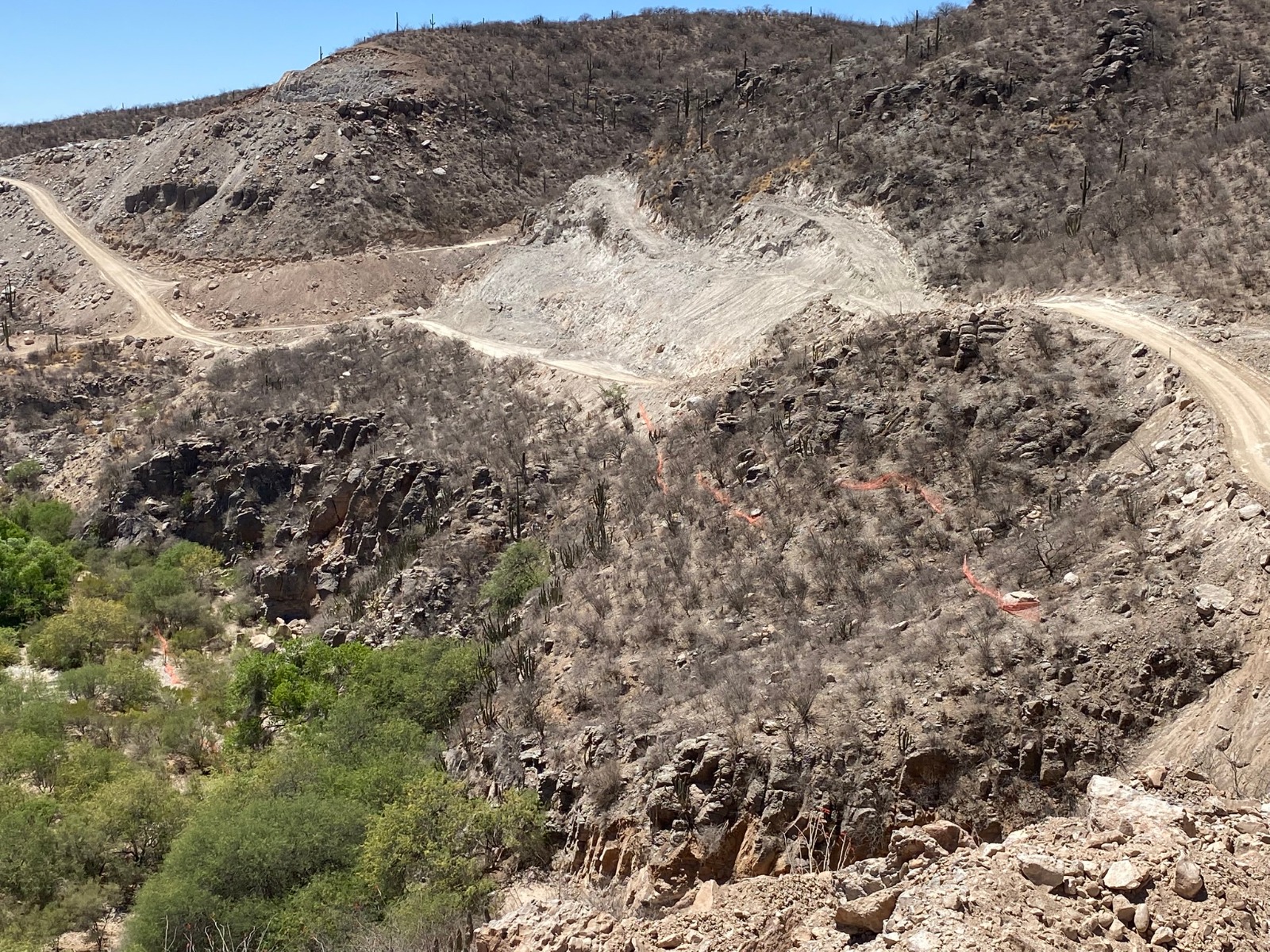 WhatsApp Image 2026-01-15 at 13.00.54 (1)