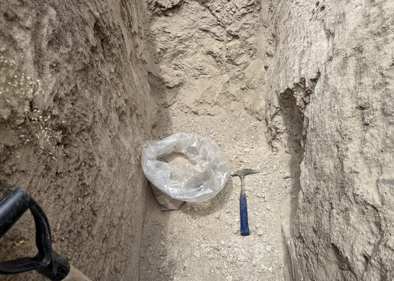 WhatsApp Image 2026-01-17 at 12.34.39 (1)