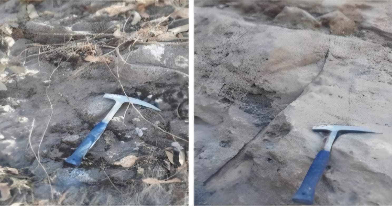 WhatsApp Image 2026-01-19 at 09.33.05