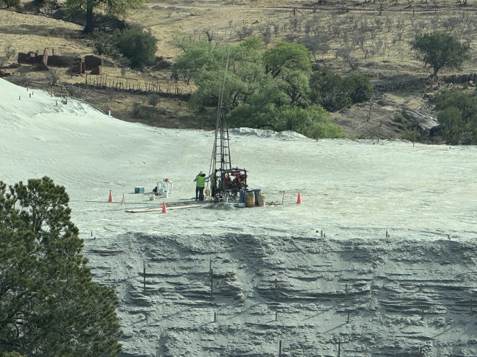 WhatsApp Image 2026-03-17 at 19.22.09 (2)