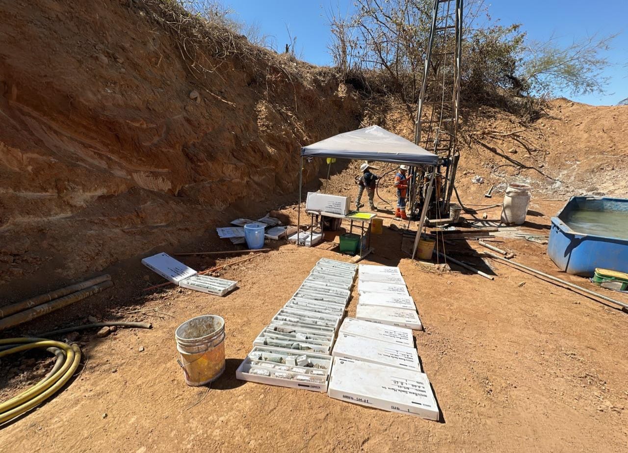 WhatsApp Image 2026-03-17 at 19.58.13